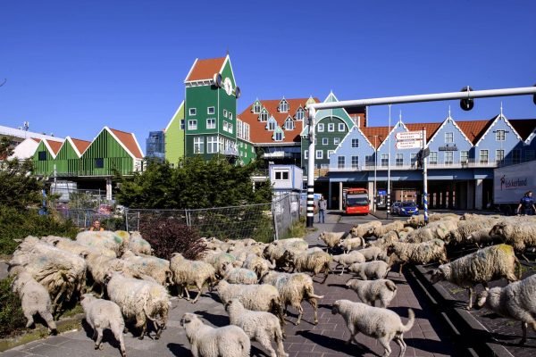 Snelle en professionele laadpaal reparatie in Zaanstad en omgeving